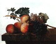 John Johnston Still Life with Fruit fhf china oil painting reproduction